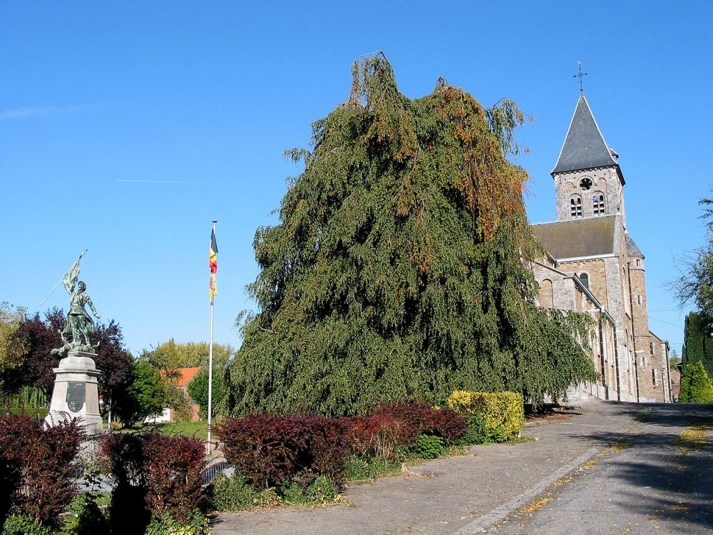 Immobilier, Braives, Hesbaye, reportage photographique, visite virtuelle, plan de présentation, agence immobilière, notaire, particulier.